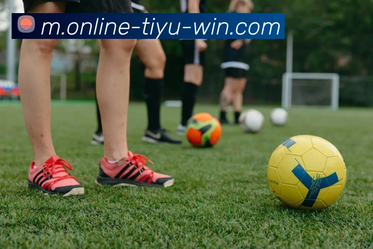 在线体育博彩服务体系